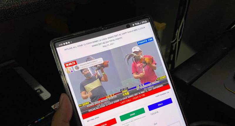 Những hạn chế cần cân nhắc khi chơi đá gà trực tuyến