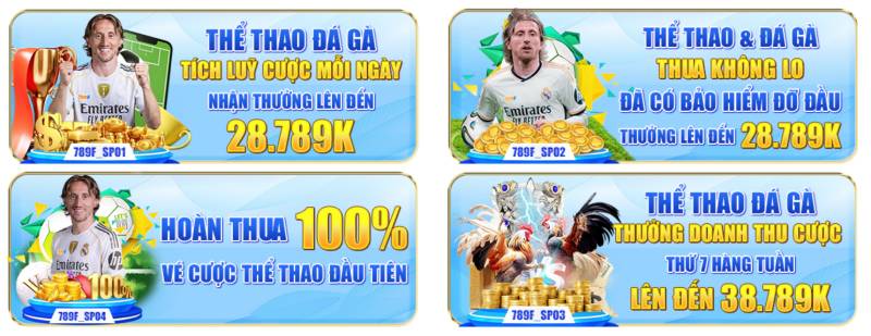 Thể thao & đá gà – thua cũng hoàn, thắng càng đậm